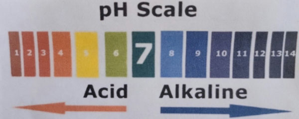 PH Scale